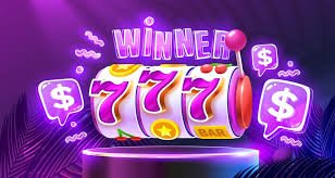 ivibet
